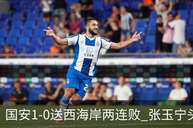 国安1-0送西海岸两连败 张玉宁头球制胜法比奥伤退 国安14轮不败