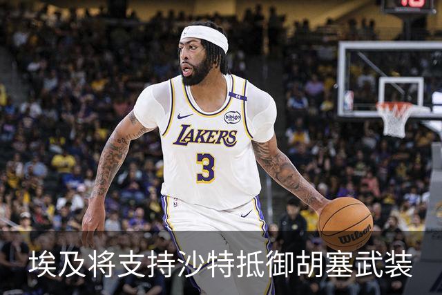 埃及将支持沙特抵御胡塞武装