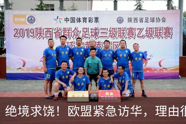 绝境求饶！欧盟紧急访华，理由很直接，阿斯麦再撑不住就要崩盘了